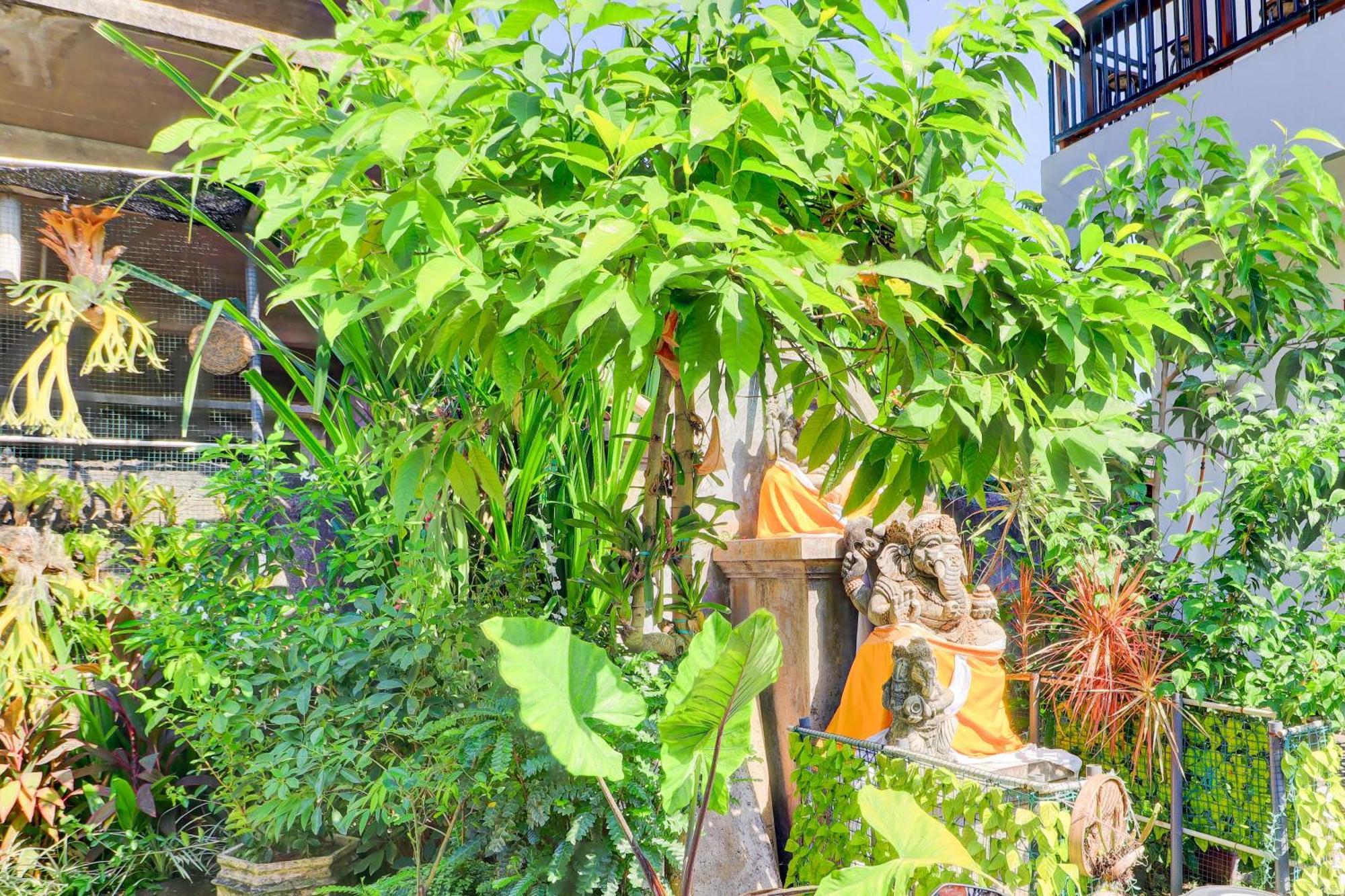 Hotel O Pondok Tulasi Hostel Near Monkey Forest Ubud  Bagian luar foto